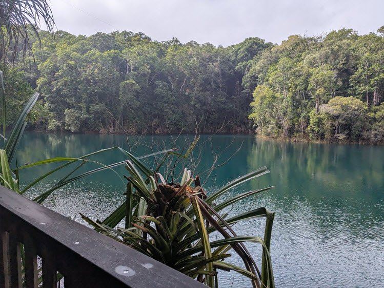 Atherton Arboretum , Australia